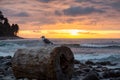 Seaside, Oregon, United States of America Royalty Free Stock Photo