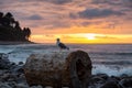 Seaside, Oregon, United States of America Royalty Free Stock Photo