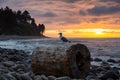 Seaside, Oregon, United States of America Royalty Free Stock Photo