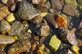 Seaside pebble texture image and rock pool, on the west coast of Scotland. Royalty Free Stock Photo