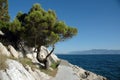 Seaside promenade