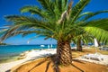 Seaside promenade on Brac island with palm trees and turquoise clear ocean water, Supetar, Brac, Croatia Royalty Free Stock Photo