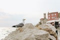 seaside resort town stones promenade buildings Royalty Free Stock Photo