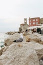 seaside resort town stones promenade buildings Royalty Free Stock Photo