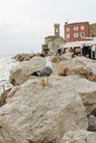 seaside resort town stones promenade buildings Royalty Free Stock Photo