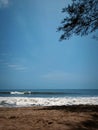 Seaside sea bluesea tree leaf Royalty Free Stock Photo