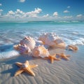 Seaside serenity Crystal clear water, seashells, and starfish on beach