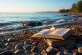 Seaside serenity Reading amid books and seascape, a tranquil summer escape