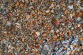 Seaside. Shell rock. Background Royalty Free Stock Photo