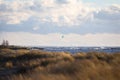 Seaside shore view of sea weed near baltic sea shore shaking in strong wind Royalty Free Stock Photo