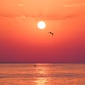 Seaside sunrise scenery Royalty Free Stock Photo