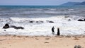 Seaside of Tianya Haijiao Scenic Area, Hainan Island, China Royalty Free Stock Photo