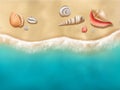 Seaside top view. Sun beach with seashells on sand near ocean water vector realistic background