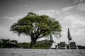 Seaside trees, relaxing corner on Koh Larn