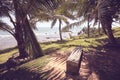 Seaside view bench in palm trees shade