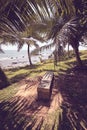 Seaside view bench in palm trees shade