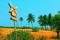 Seaside view of coconut trees