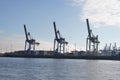 Seaside view of the container harbor with port cranes in Hamburg, Germany on sunny day Royalty Free Stock Photo