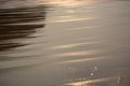 Seaside view with light effects and reflections in the water, wet sand with sparkles Royalty Free Stock Photo