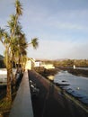 Seaside village town palm trees white bench river tide Royalty Free Stock Photo