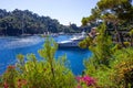 Seaside villas near Portofino in Italy Royalty Free Stock Photo