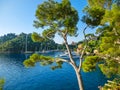 Seaside villas near Portofino in Italy Royalty Free Stock Photo