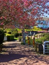 Seaside walk in Sidney BC