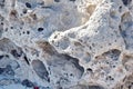 Seaside White Rock Holes in Rock Detail