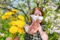 Season allergy to flowering plants pollen. Dandelion bouquet against young woman with paper handkerchief in garden and Royalty Free Stock Photo