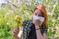 Season allergy to flowering plants pollen. Young woman with dandelion bouquet and paper handkerchief covering her nose in garden. Royalty Free Stock Photo