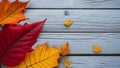 season autum leave background