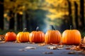 Season autumn fall harvest time tradition offer holiday many diversity fresh orange pumpkins Halloween Thanksgiving