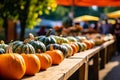 Season autumn fall harvest time tradition offer holiday many diversity fresh orange pumpkins Halloween Thanksgiving