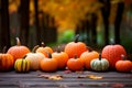 Season autumn fall harvest time tradition offer holiday many diversity fresh orange pumpkins Halloween Thanksgiving