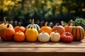 Season autumn fall harvest time tradition offer holiday many diversity fresh orange pumpkins Halloween Thanksgiving