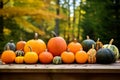 Season autumn fall harvest time tradition offer holiday many diversity fresh orange pumpkins Halloween Thanksgiving Royalty Free Stock Photo