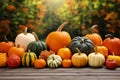 Season autumn fall harvest time tradition offer holiday many diversity fresh orange pumpkins Halloween Thanksgiving