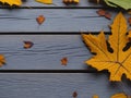 season autumn leave background Royalty Free Stock Photo
