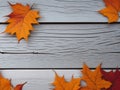 season autumn leave background Royalty Free Stock Photo