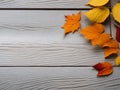 season autumn leave background Royalty Free Stock Photo