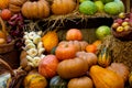 Autumnal harvest yellow, orange, green pumkins and vegatable in the market