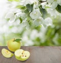 Season background with apple fruits, green leaves Royalty Free Stock Photo