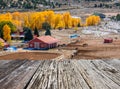 Season changing, first snow and autumn trees Royalty Free Stock Photo