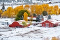 Season changing, first snow and autumn trees Royalty Free Stock Photo