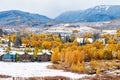 Season changing, first snow and autumn trees Royalty Free Stock Photo