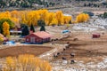 Season changing, first snow and autumn trees Royalty Free Stock Photo