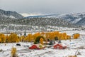 Season changing, first snow and autumn trees Royalty Free Stock Photo