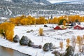 Season changing, first snow and autumn trees Royalty Free Stock Photo