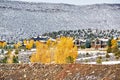 Season changing, first snow and autumn trees Royalty Free Stock Photo