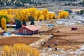 Season changing, first snow and autumn trees Royalty Free Stock Photo